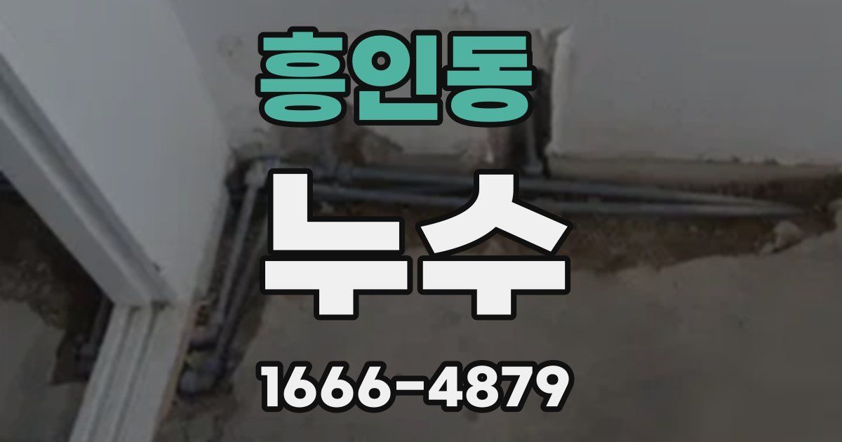 흥인동 누수