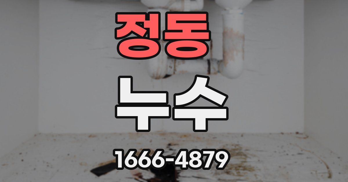 정동 누수