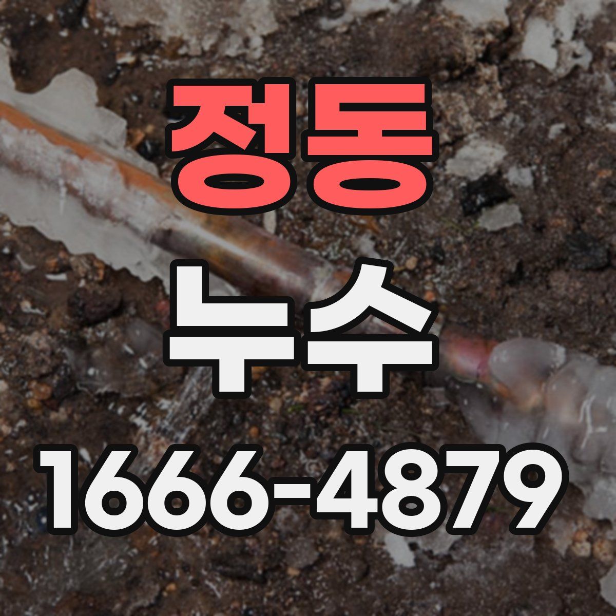 정동 누수
