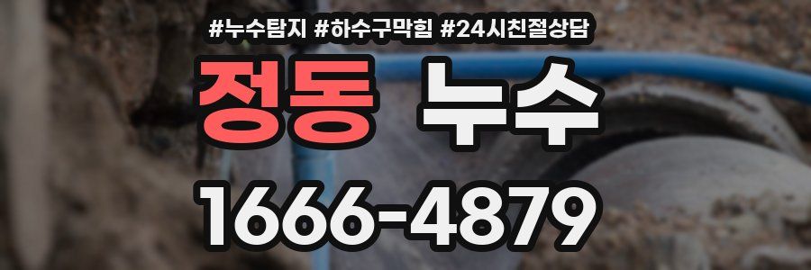 정동 누수