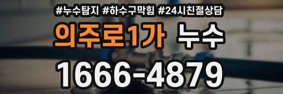 의주로1가 누수