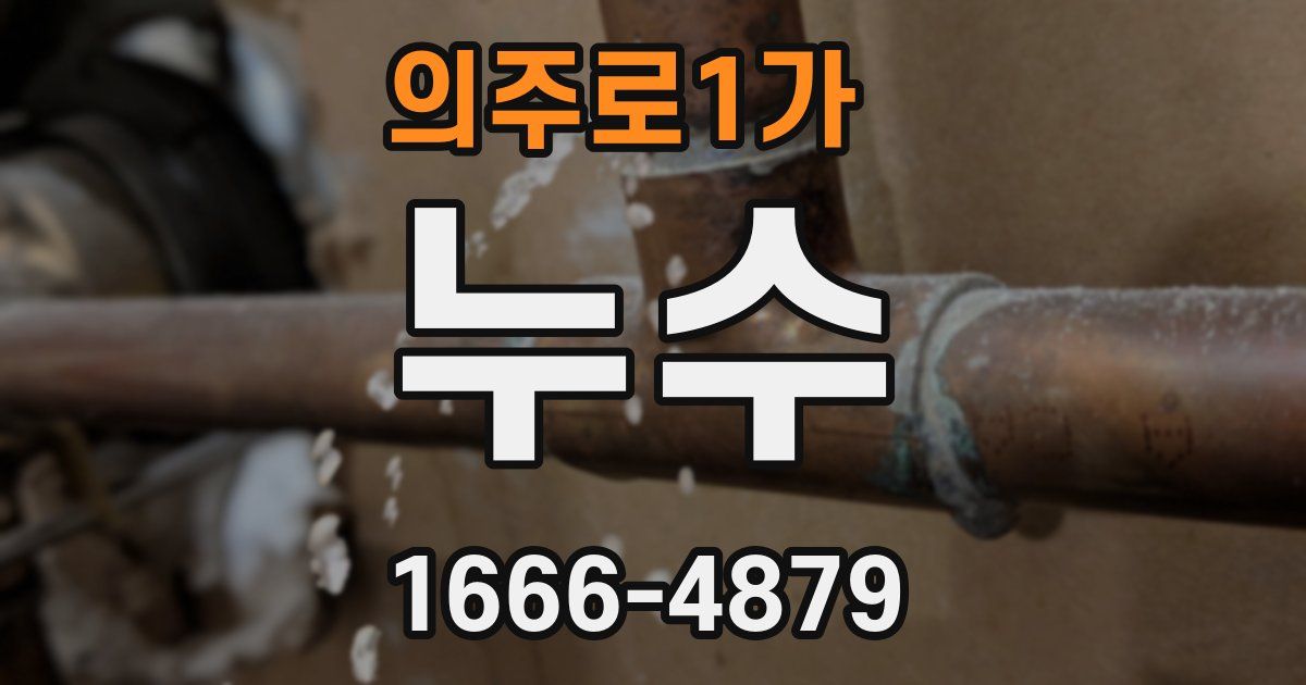 의주로1가 누수