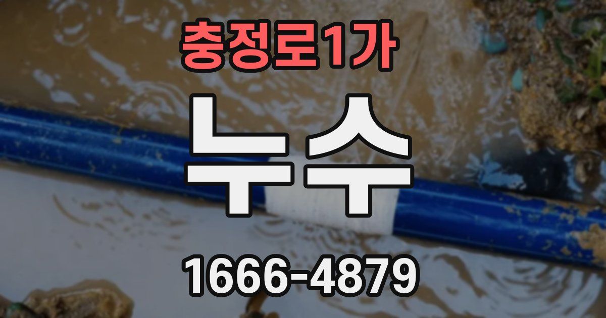 충정로1가 누수