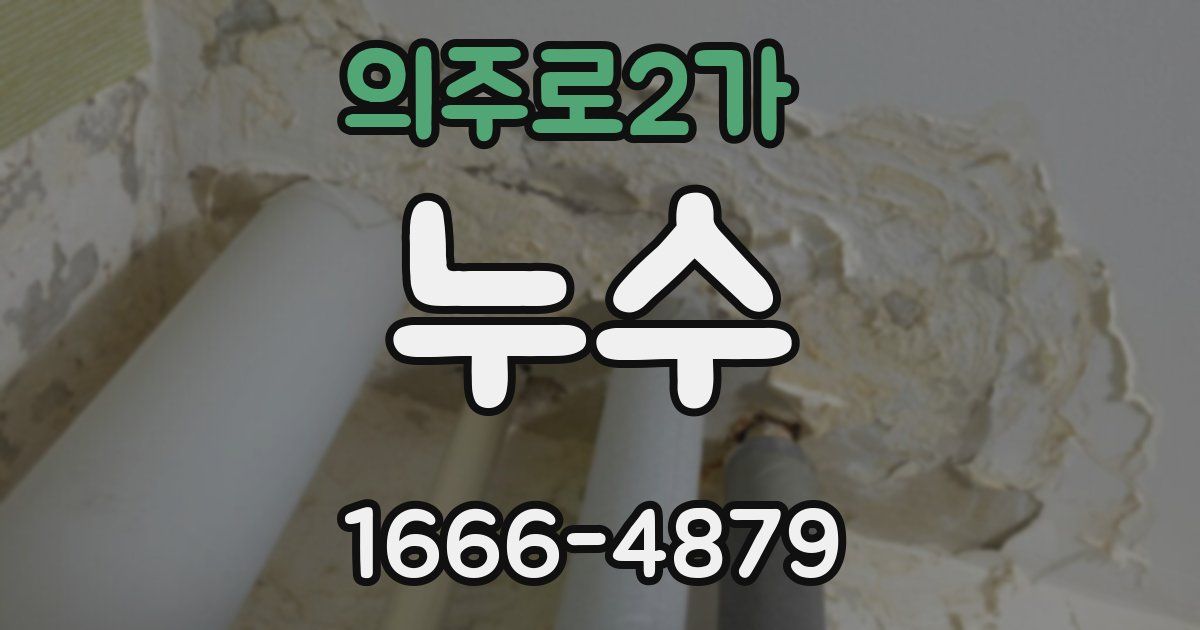 의주로2가 누수