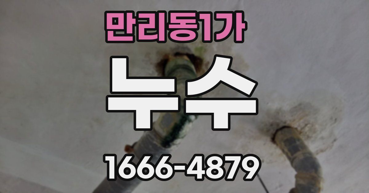 만리동1가 누수