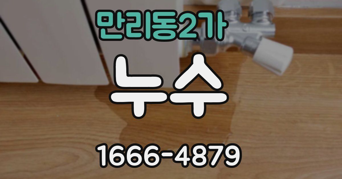 만리동2가 누수