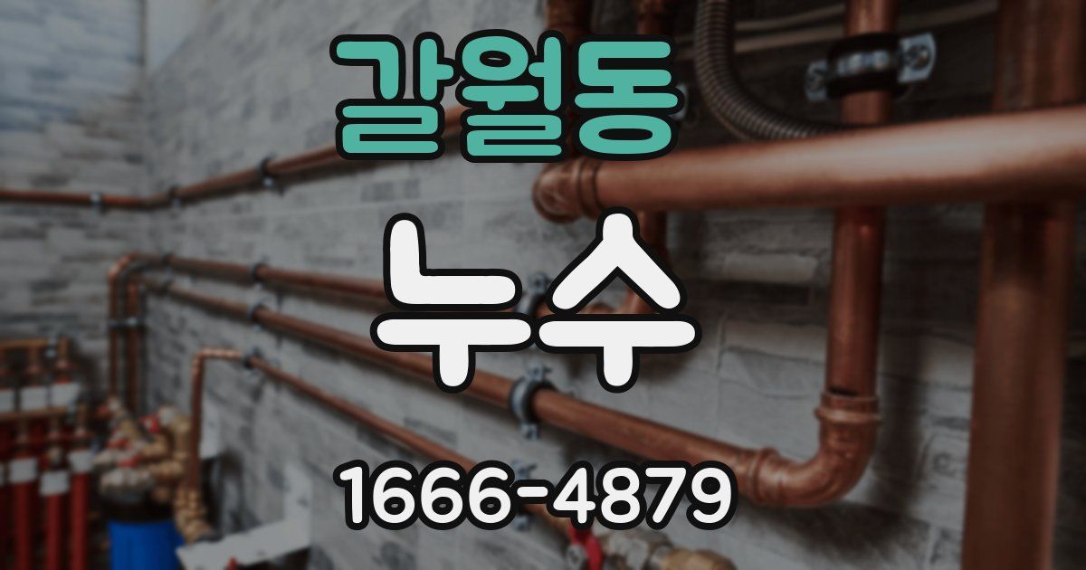 갈월동 누수