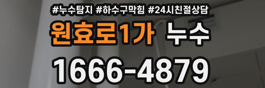 원효로1가 누수