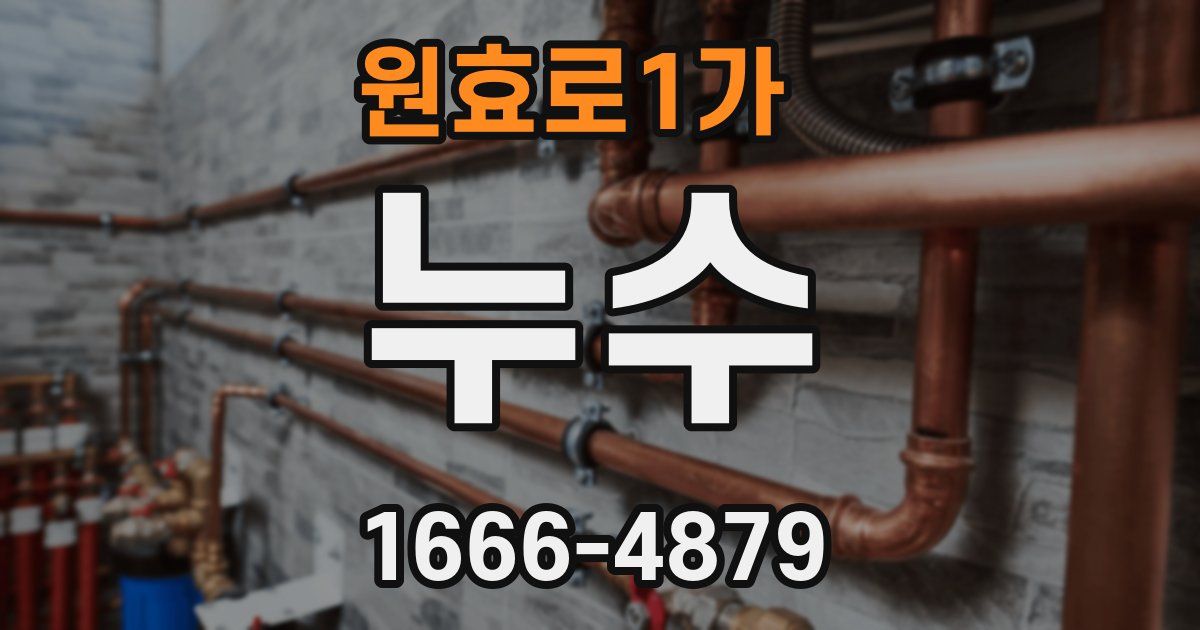 원효로1가 누수