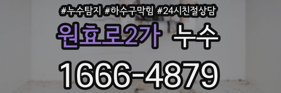 원효로2가 누수