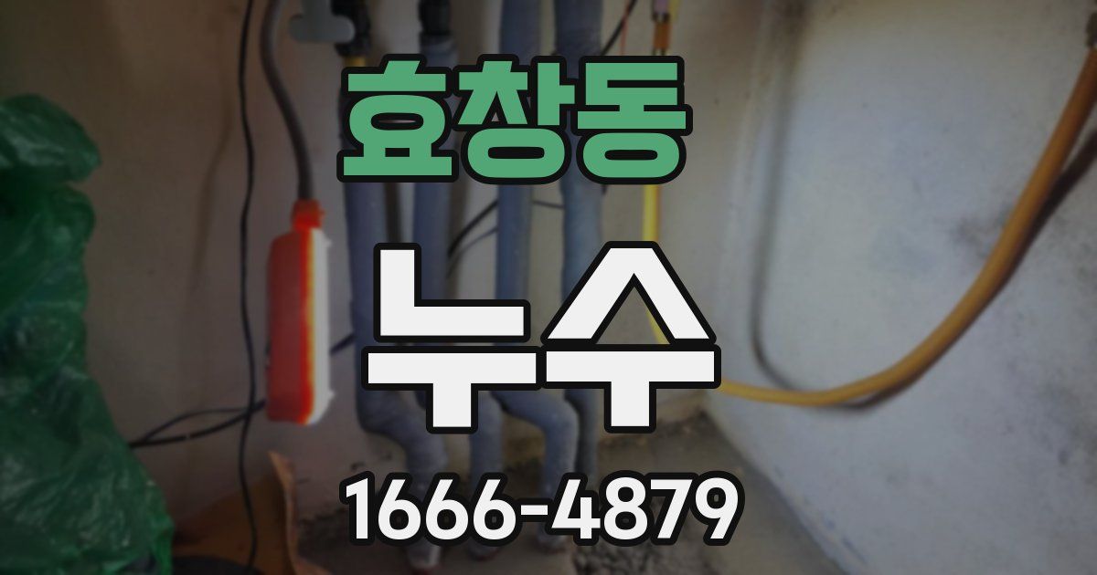 효창동 누수