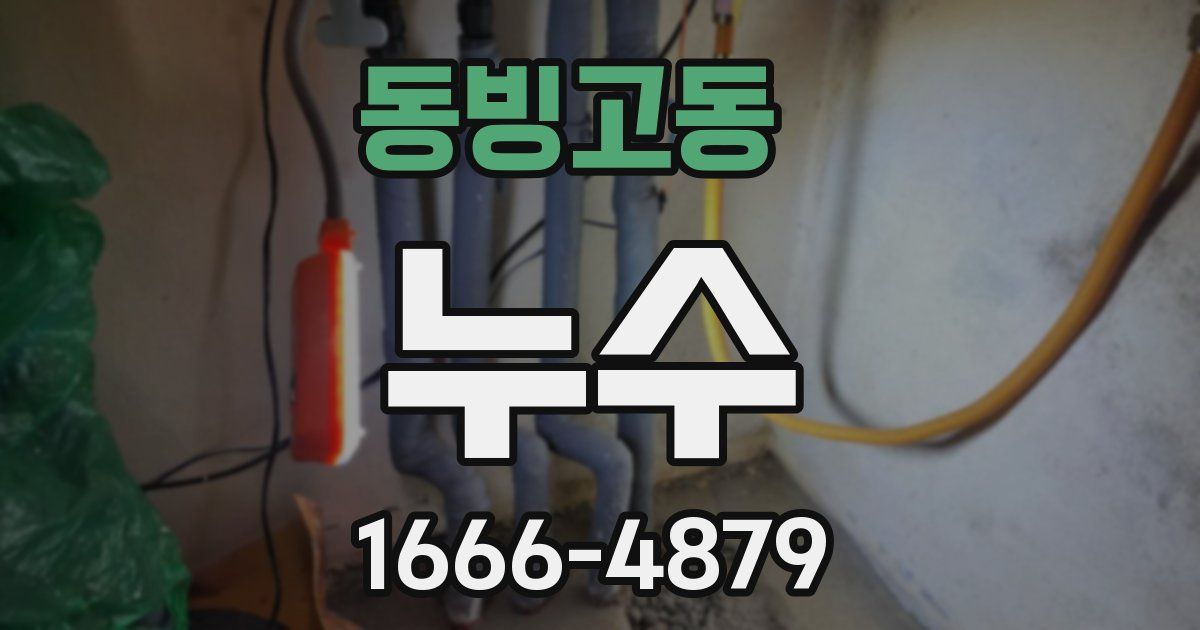 동빙고동 누수
