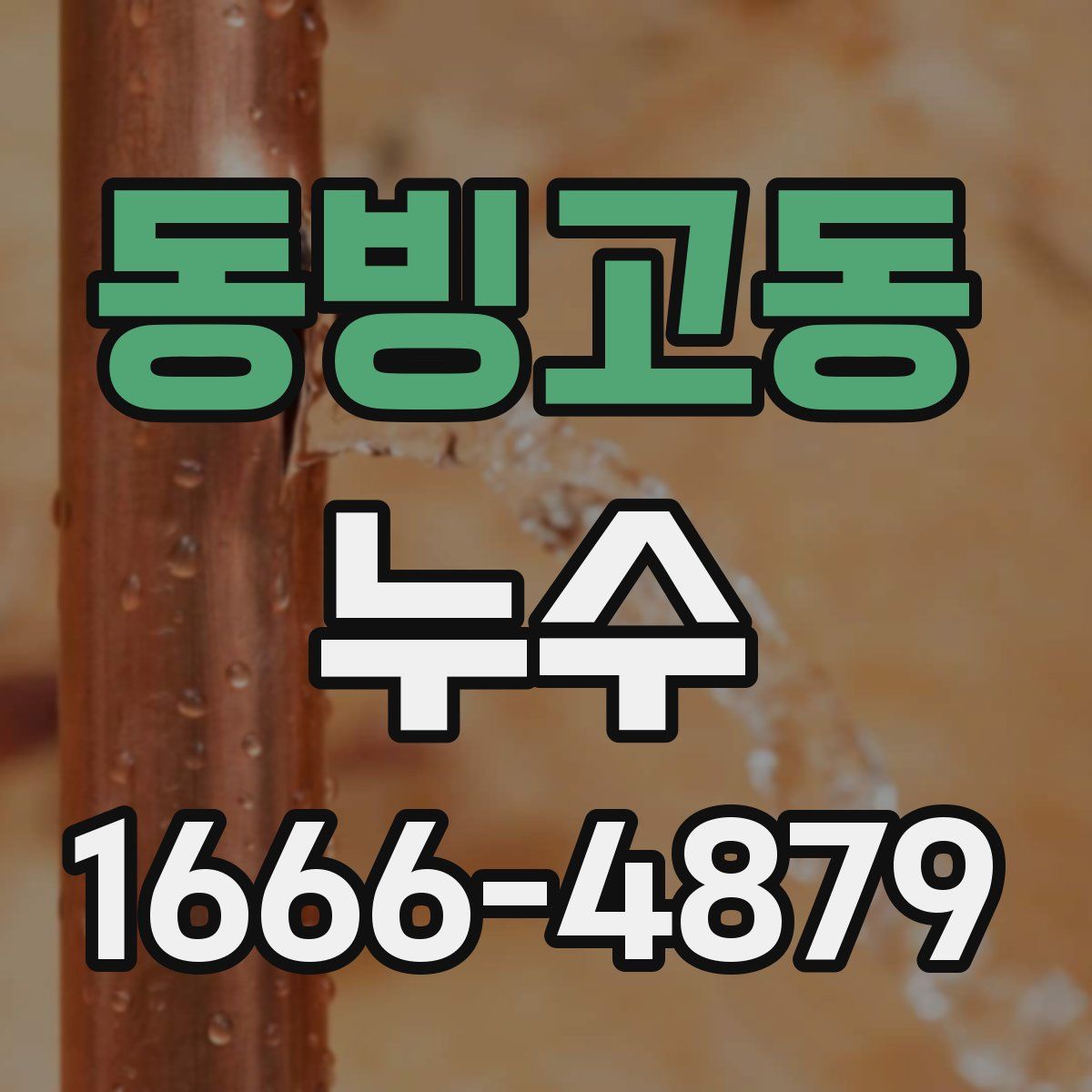 동빙고동 누수
