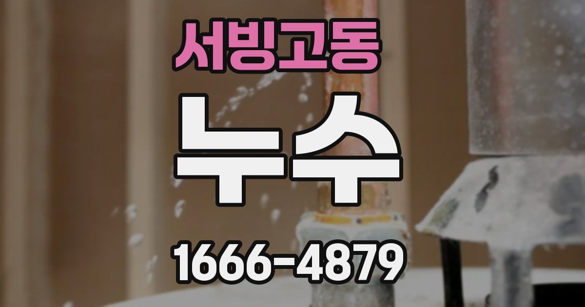 서빙고동 누수