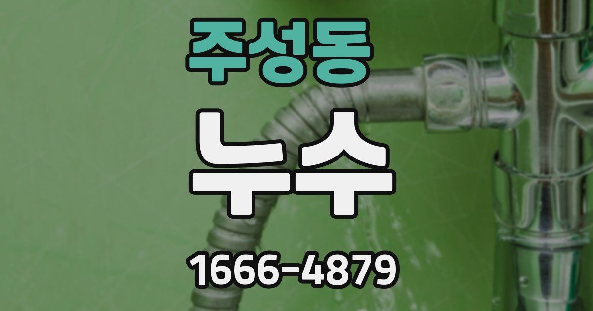 주성동 누수