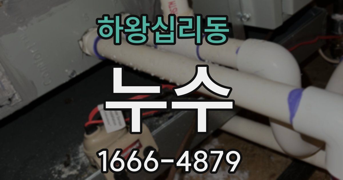 하왕십리동 누수