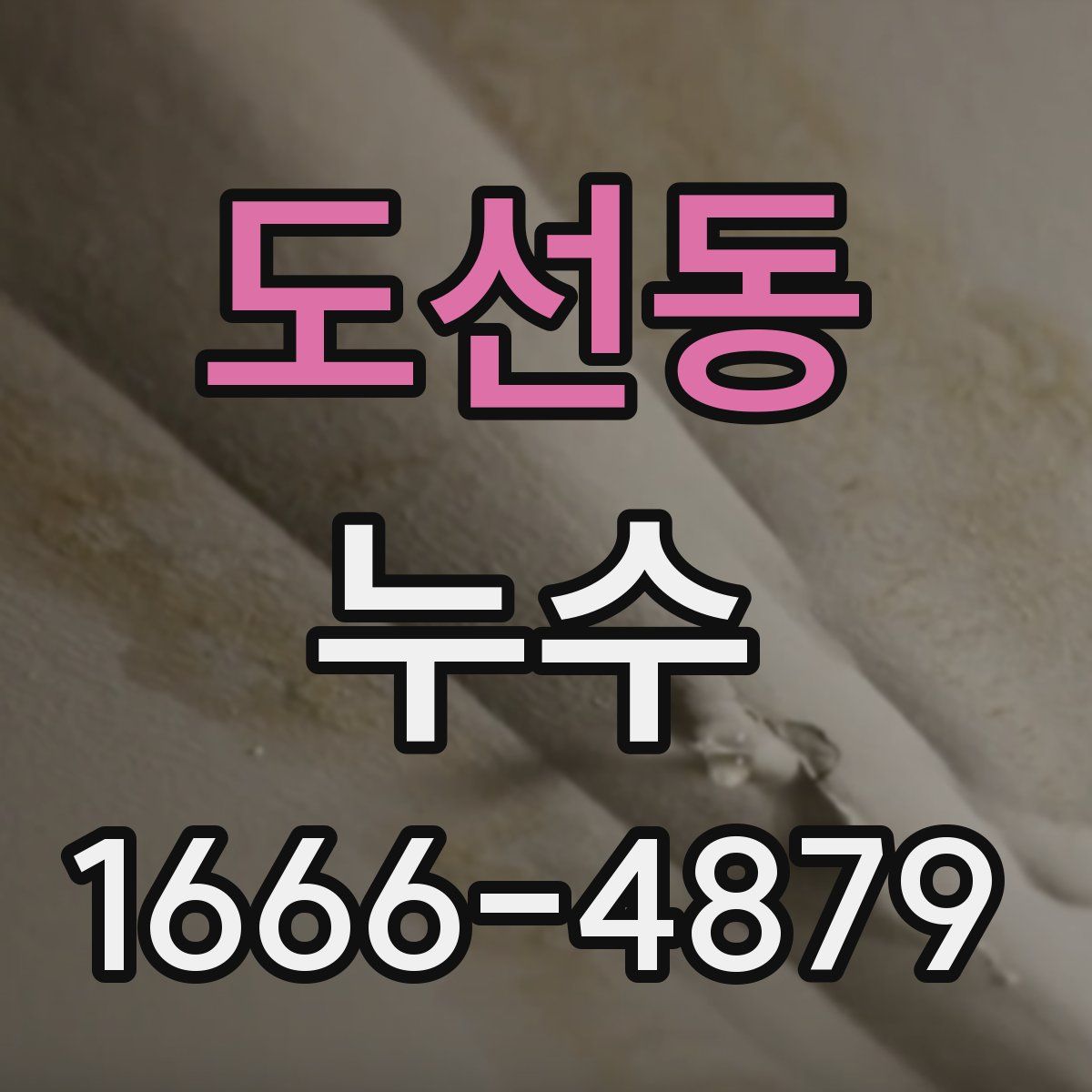 도선동 누수
