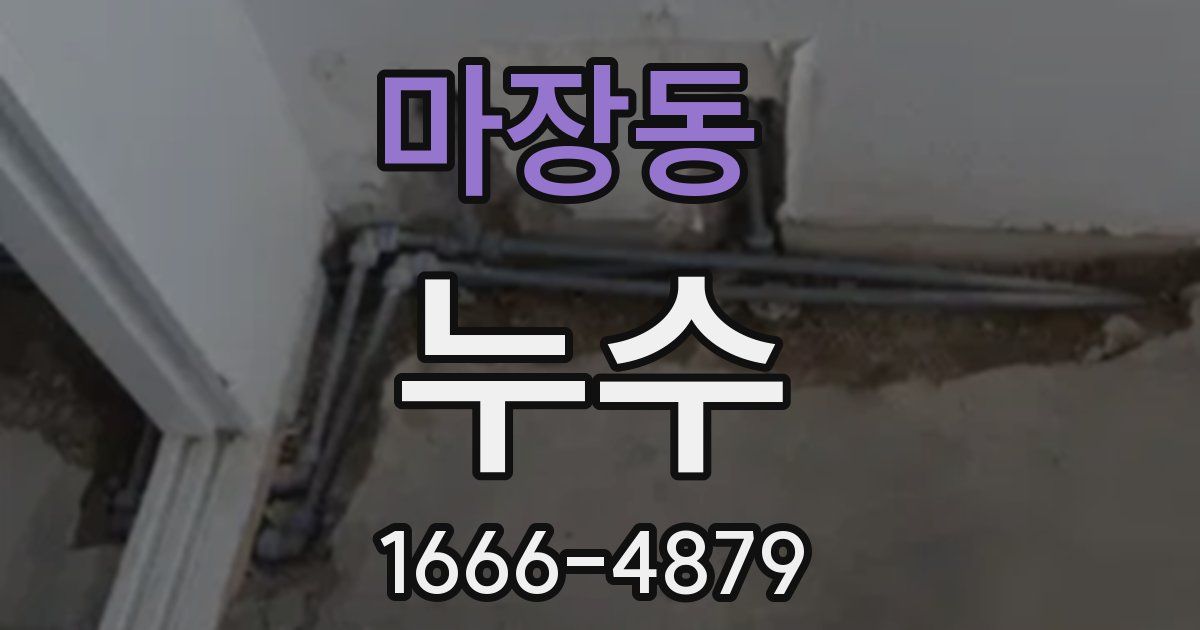 마장동 누수