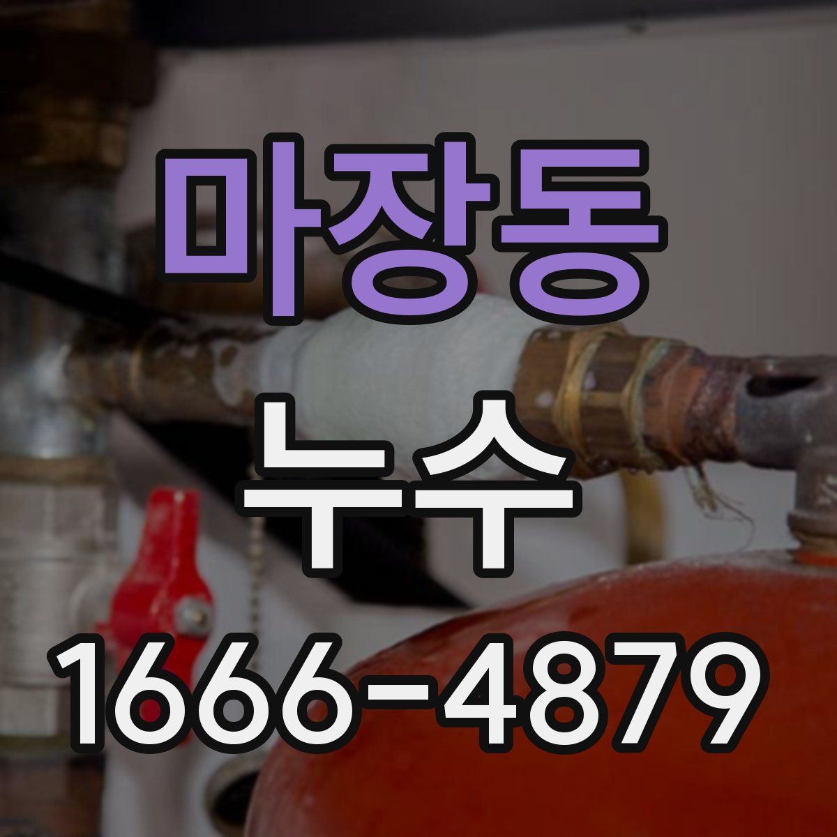 마장동 누수