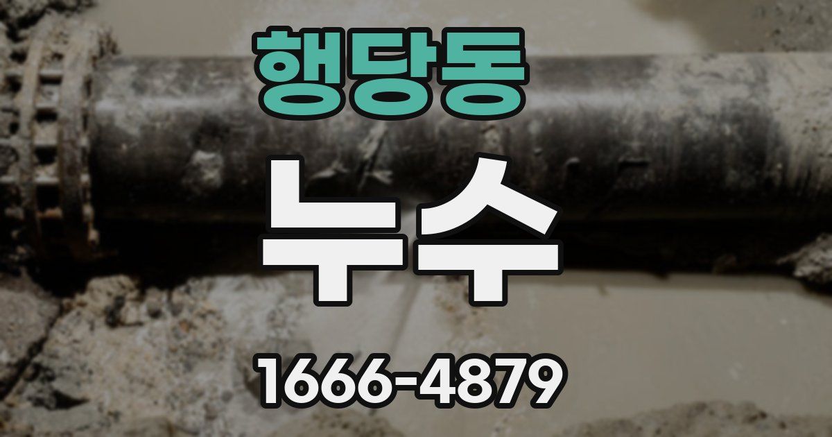 행당동 누수