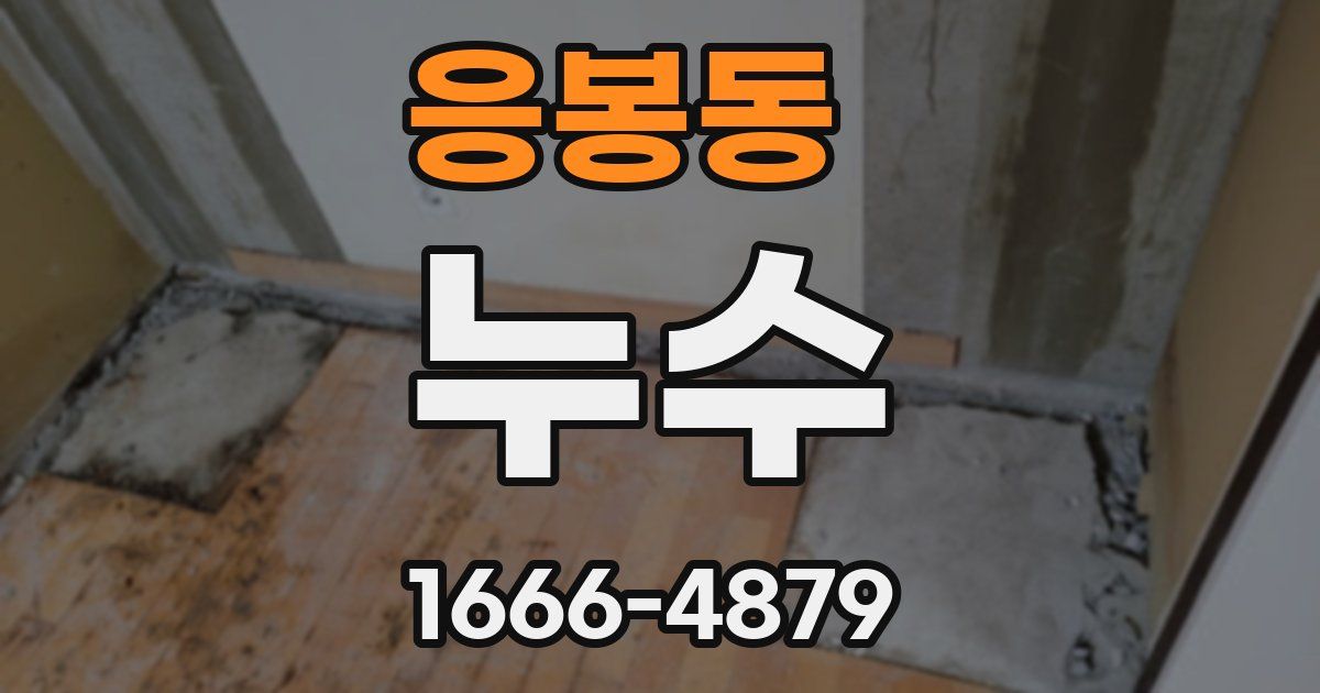 응봉동 누수