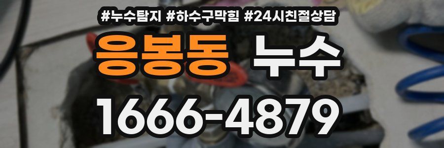 응봉동 누수