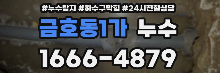금호동1가 누수