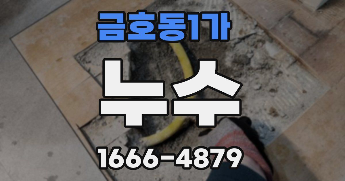 금호동1가 누수