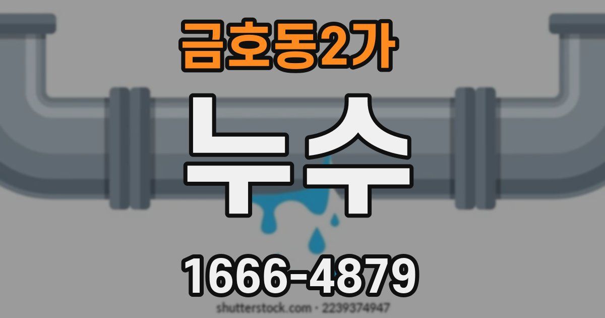 금호동2가 누수