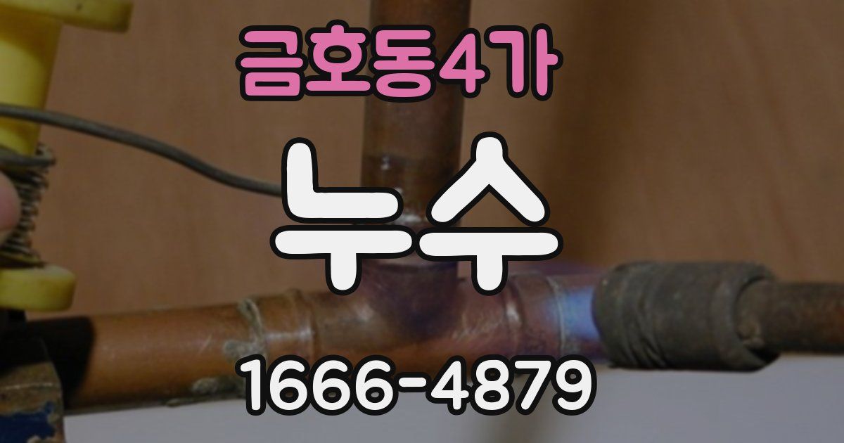 금호동4가 누수