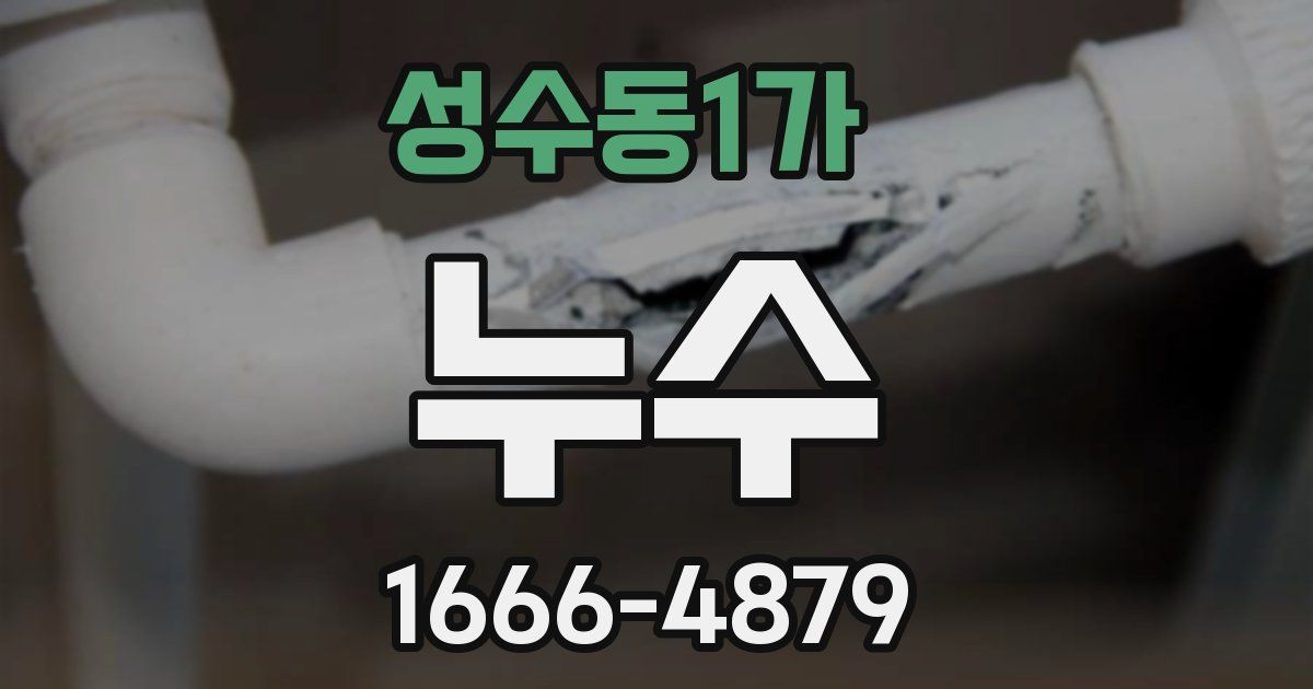 성수동1가 누수