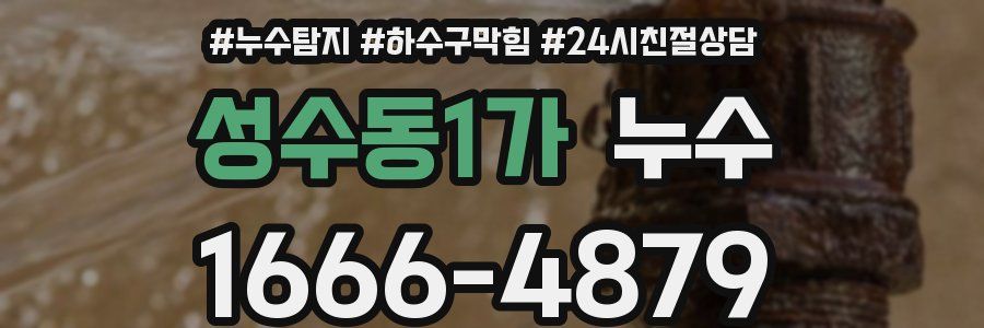 성수동1가 누수
