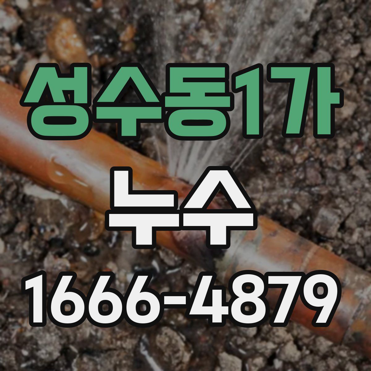 성수동1가 누수