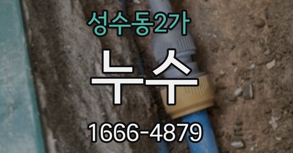 성수동2가 누수