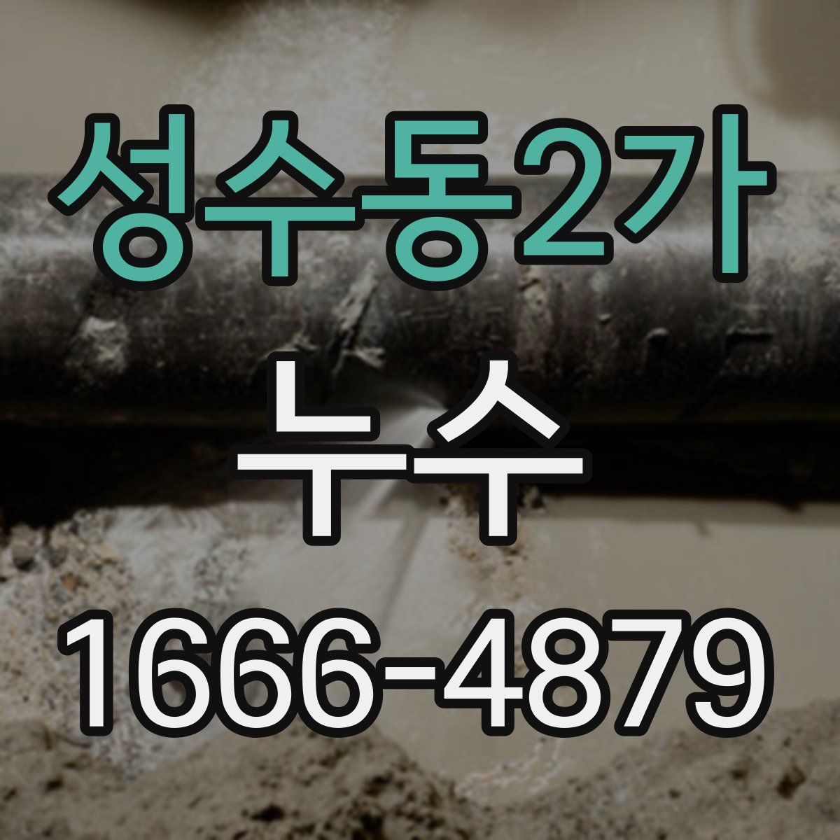 성수동2가 누수