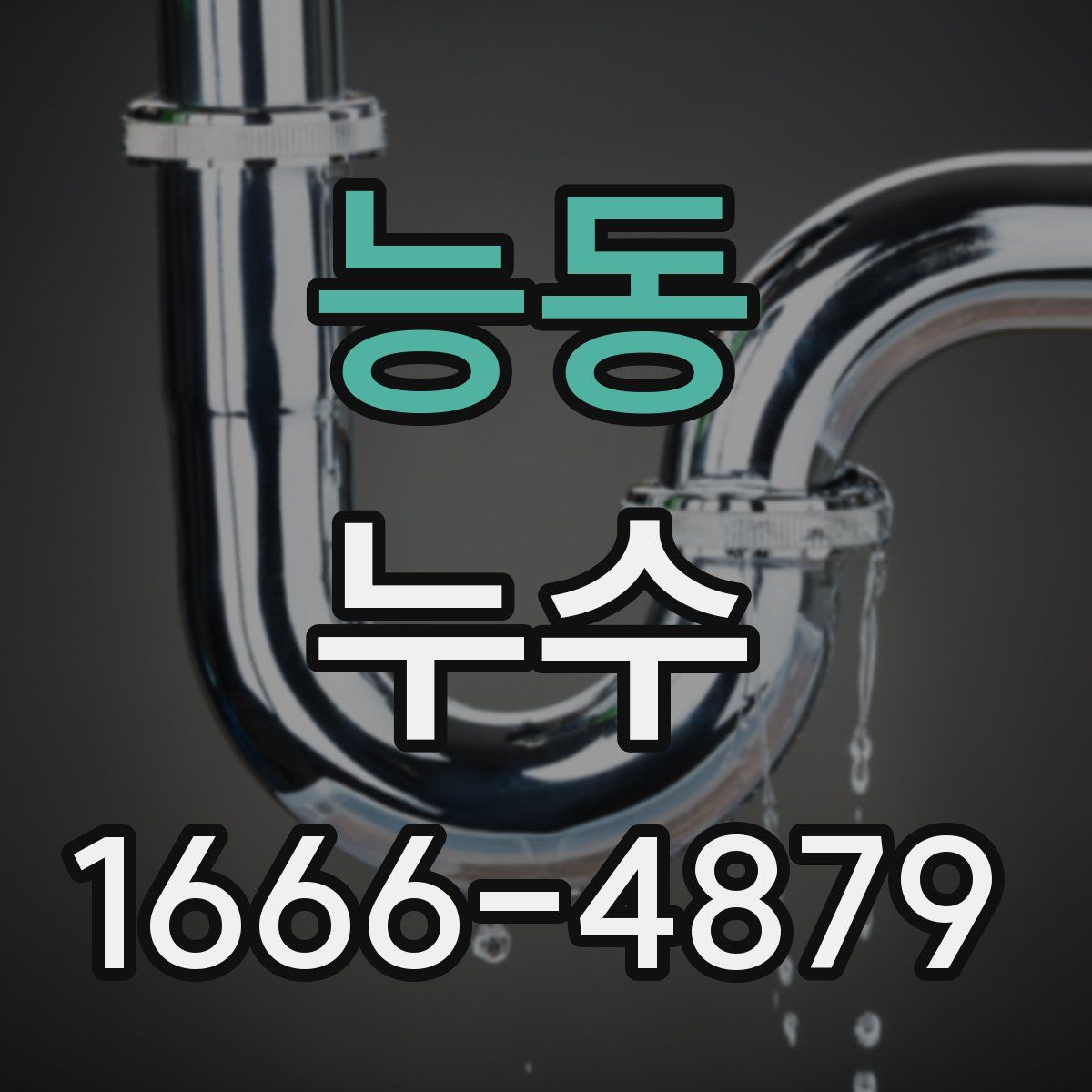 능동 누수
