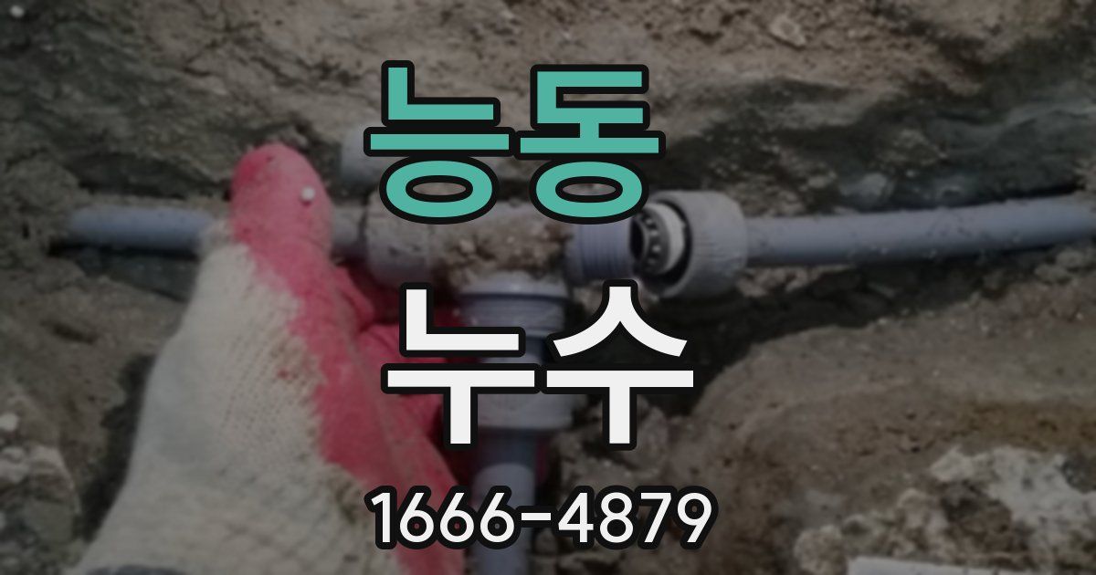 능동 누수