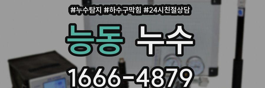 능동 누수