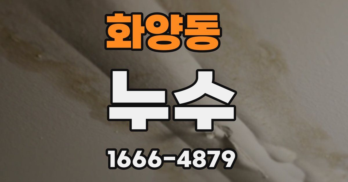 화양동 누수