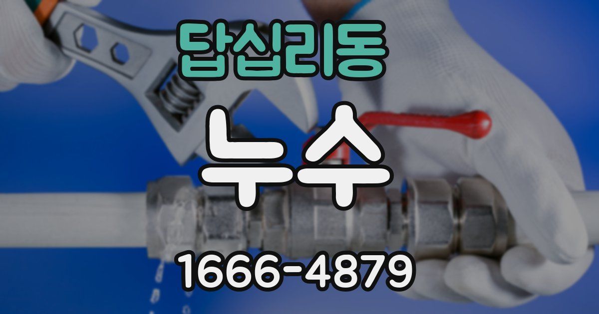 답십리동 누수