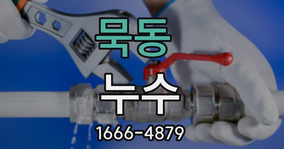 묵동 누수