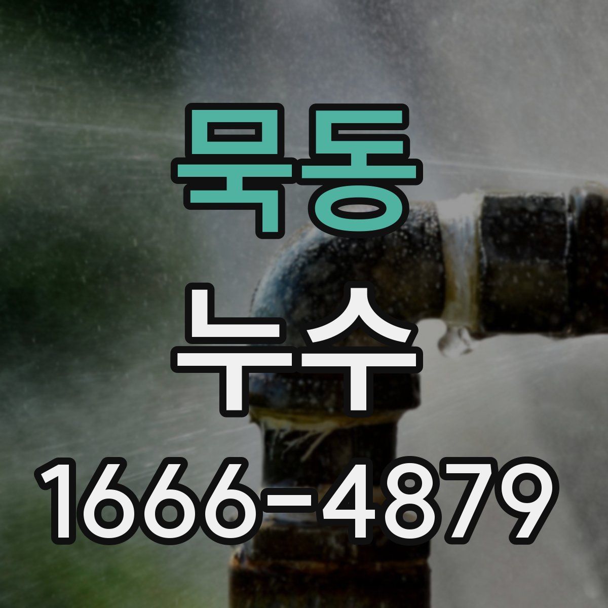 묵동 누수