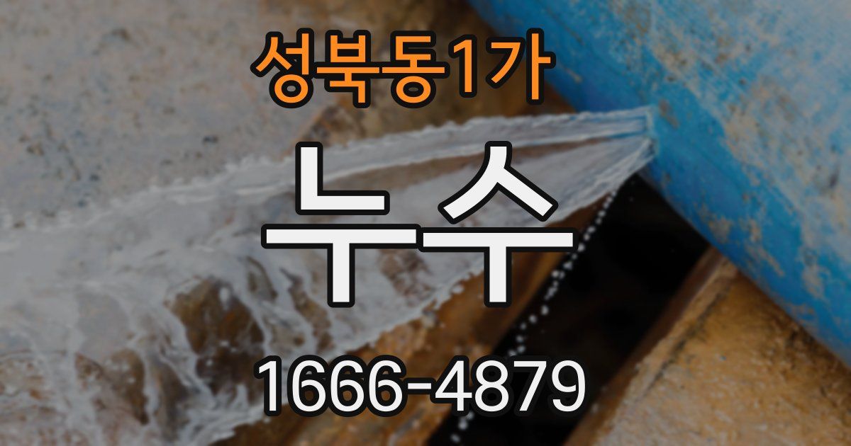 성북동1가 누수