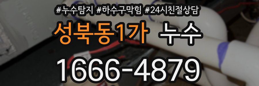 성북동1가 누수