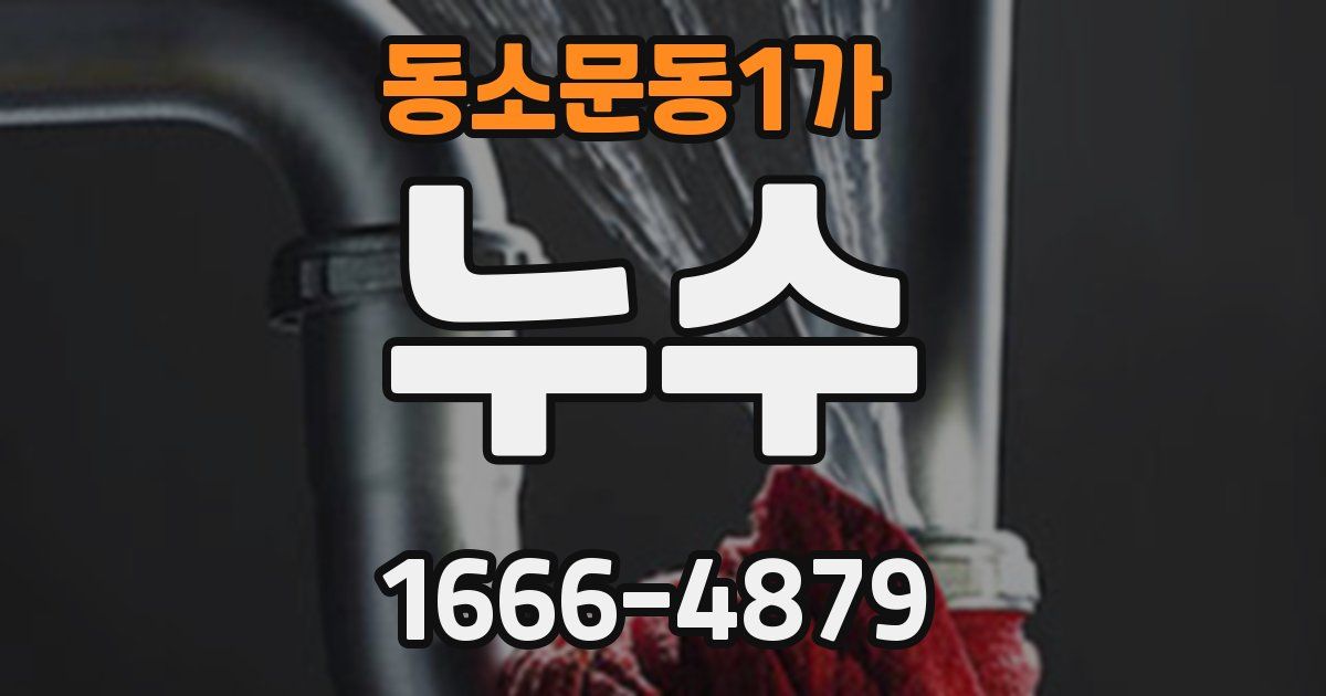 동소문동1가 누수