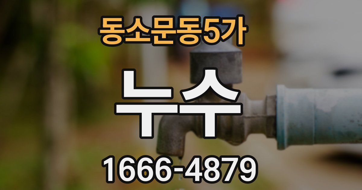 동소문동5가 누수