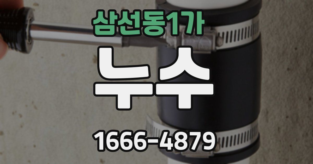 삼선동1가 누수
