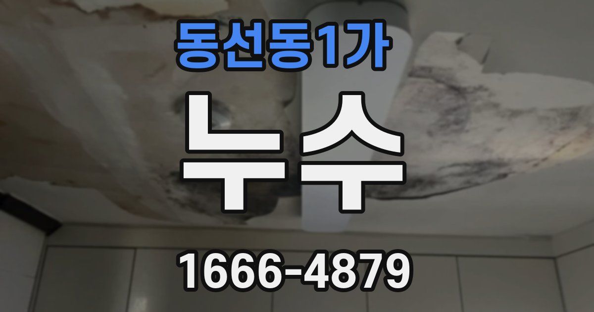 동선동1가 누수