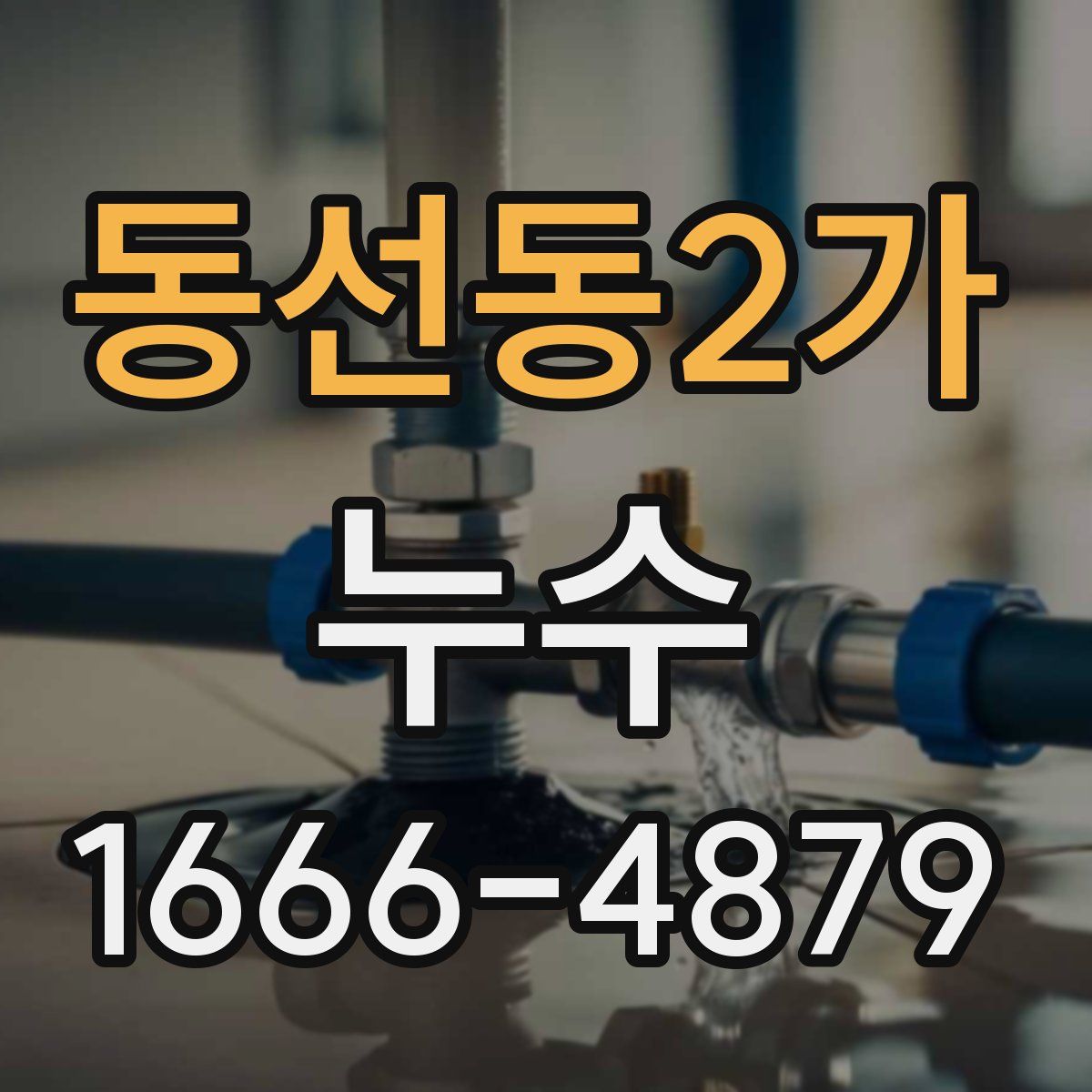 동선동2가 누수
