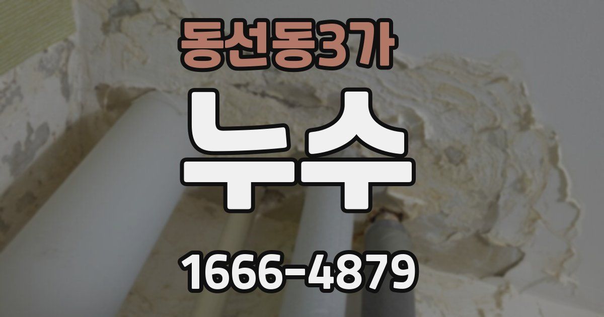 동선동3가 누수